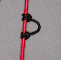 D-Loop (Installed) - Image 2